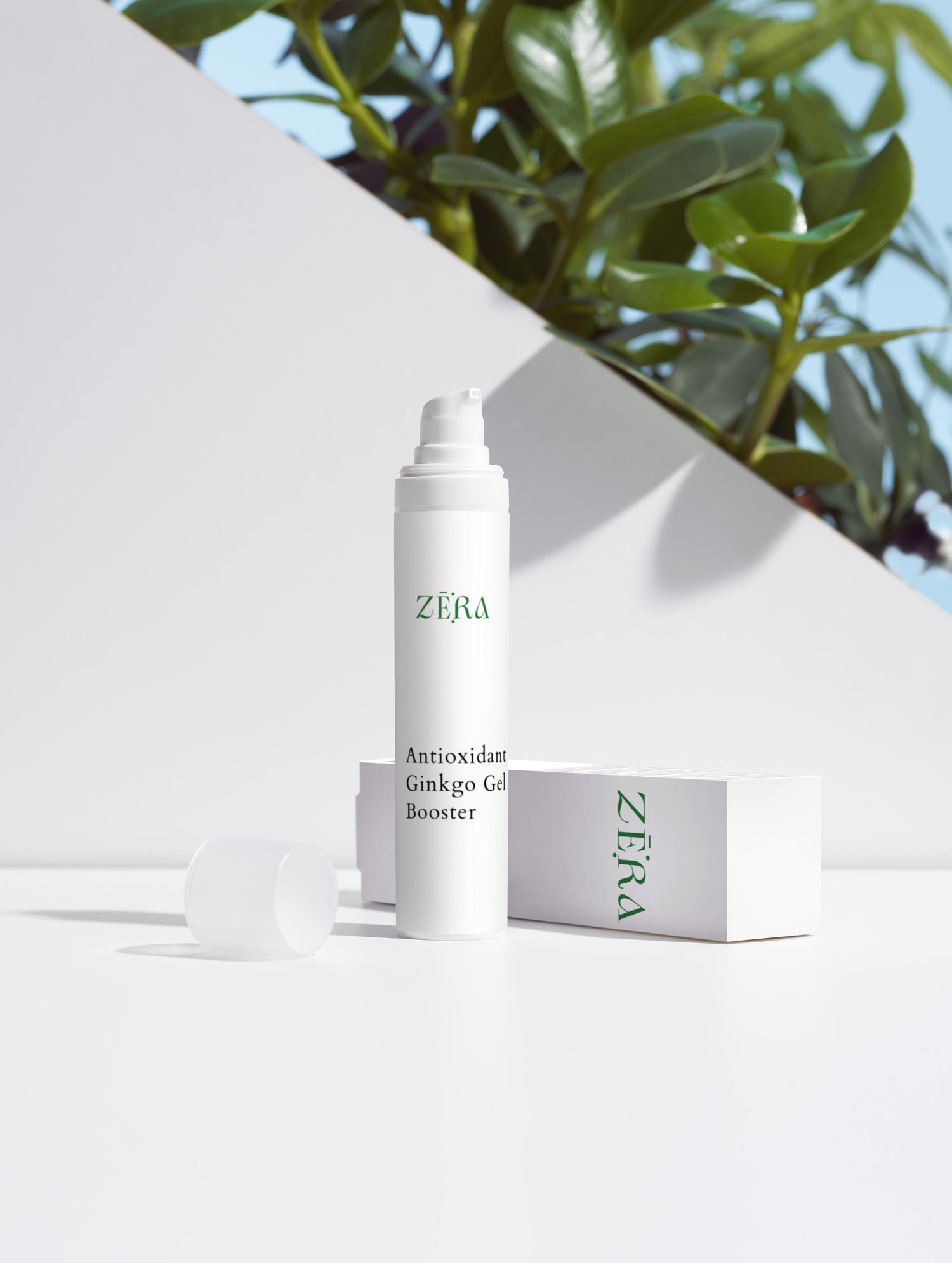 ZERA antioxidant ginkgo gel booster with packaging on a white background
